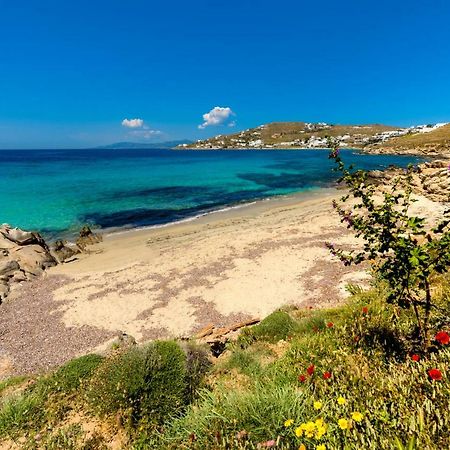Amorous Luxury Villa Agios Ioannis Diakoftis Экстерьер фото