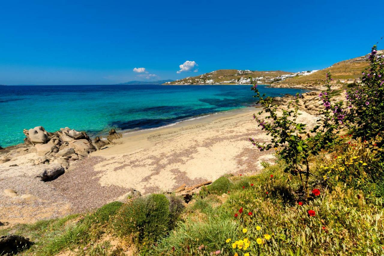 Amorous Luxury Villa Agios Ioannis Diakoftis Экстерьер фото